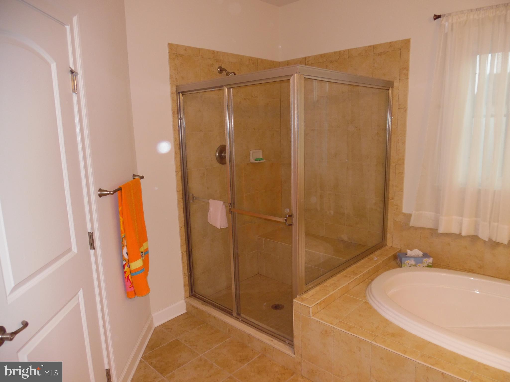 3577 Sprigg Street South Frederick, MD 21704 - Photo 9 of 16 Shower in master bath