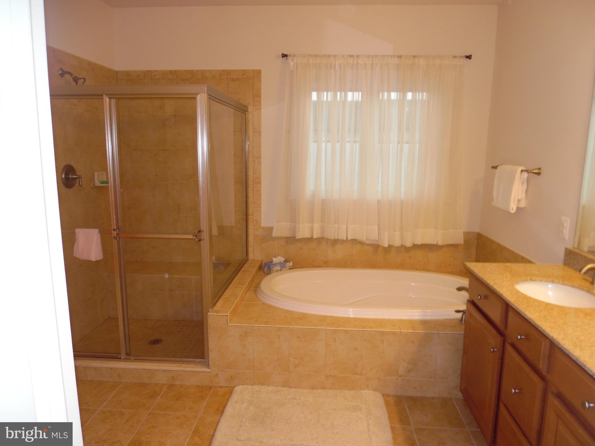 3577 Sprigg Street South Frederick, MD 21704 - Photo 10 of 16 double sink in the master bath