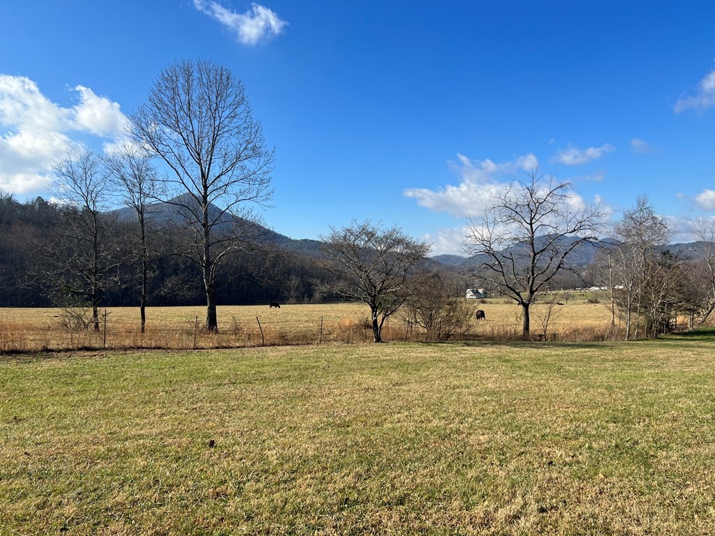 11 Katy Hollar Rd. Road Sevierville, TN 37862 - Photo 16 of 17