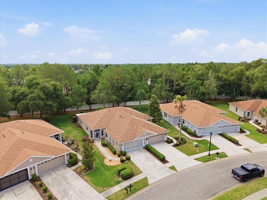 15028 Silversmith Circle Spring Hill, FL 34609 - Photo 47 of 59