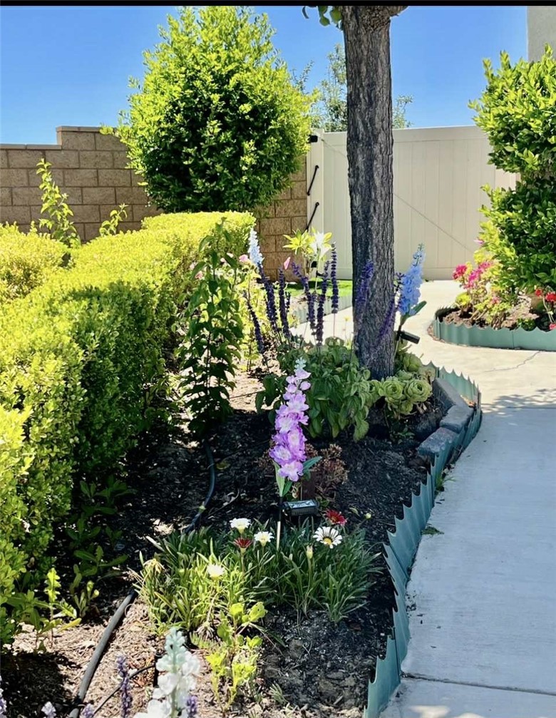 31509 Tuberose Road Murrieta, CA 92563 - Photo 19 of 41 a view of a garden with potted plants