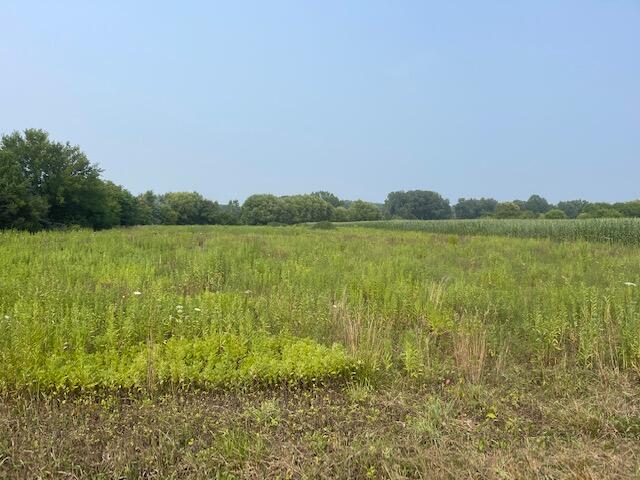 Hills Road Baroda, MI 49101 - Photo 1 of 2 IMG_4076