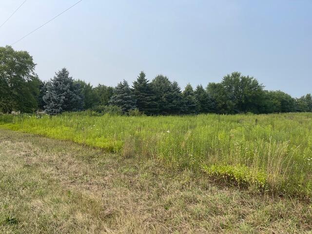 Hills Road Baroda, MI 49101 - Photo 2 of 2 IMG_4075