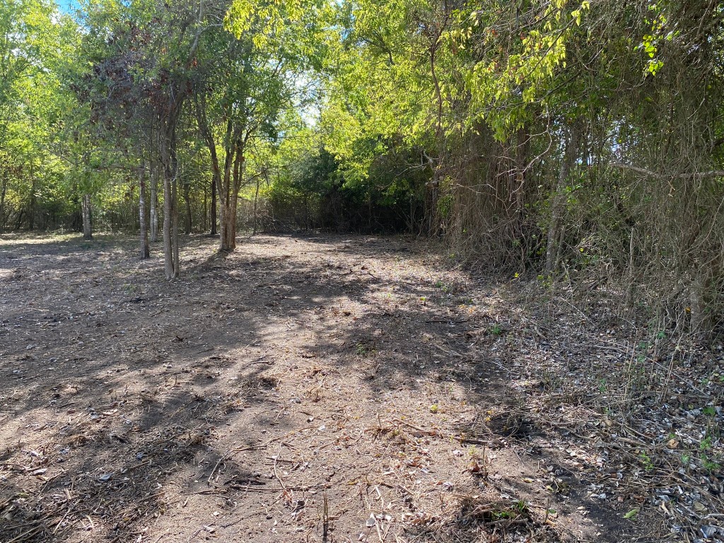 3818 Markwardt Road Carmine, TX 78932 - Photo 1 of 1 a view of a forest with trees in the background