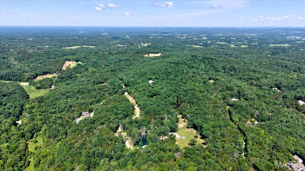 3200 Mossy Ridge Way Pacific, MO 63069 - Photo 49 of 49