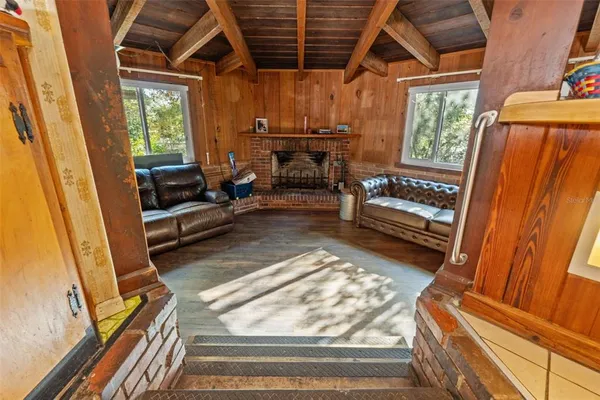 a view of a yard with plants and large trees