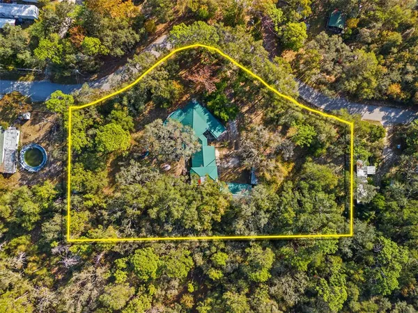 an aerial view of houses covered in trees