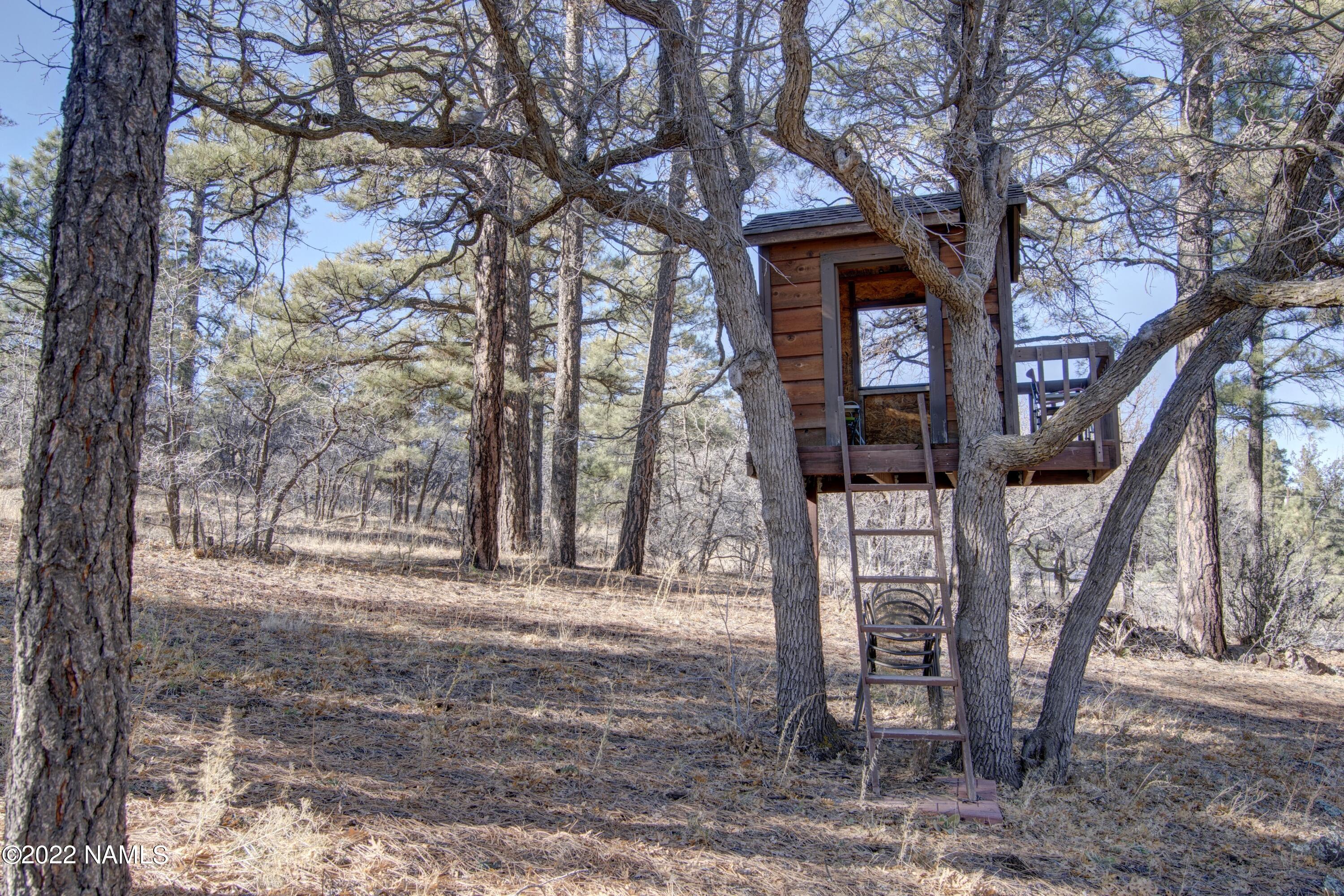 5400 Lindsey Road Flagstaff, AZ 86004 - Photo 27 of 34 Tree House