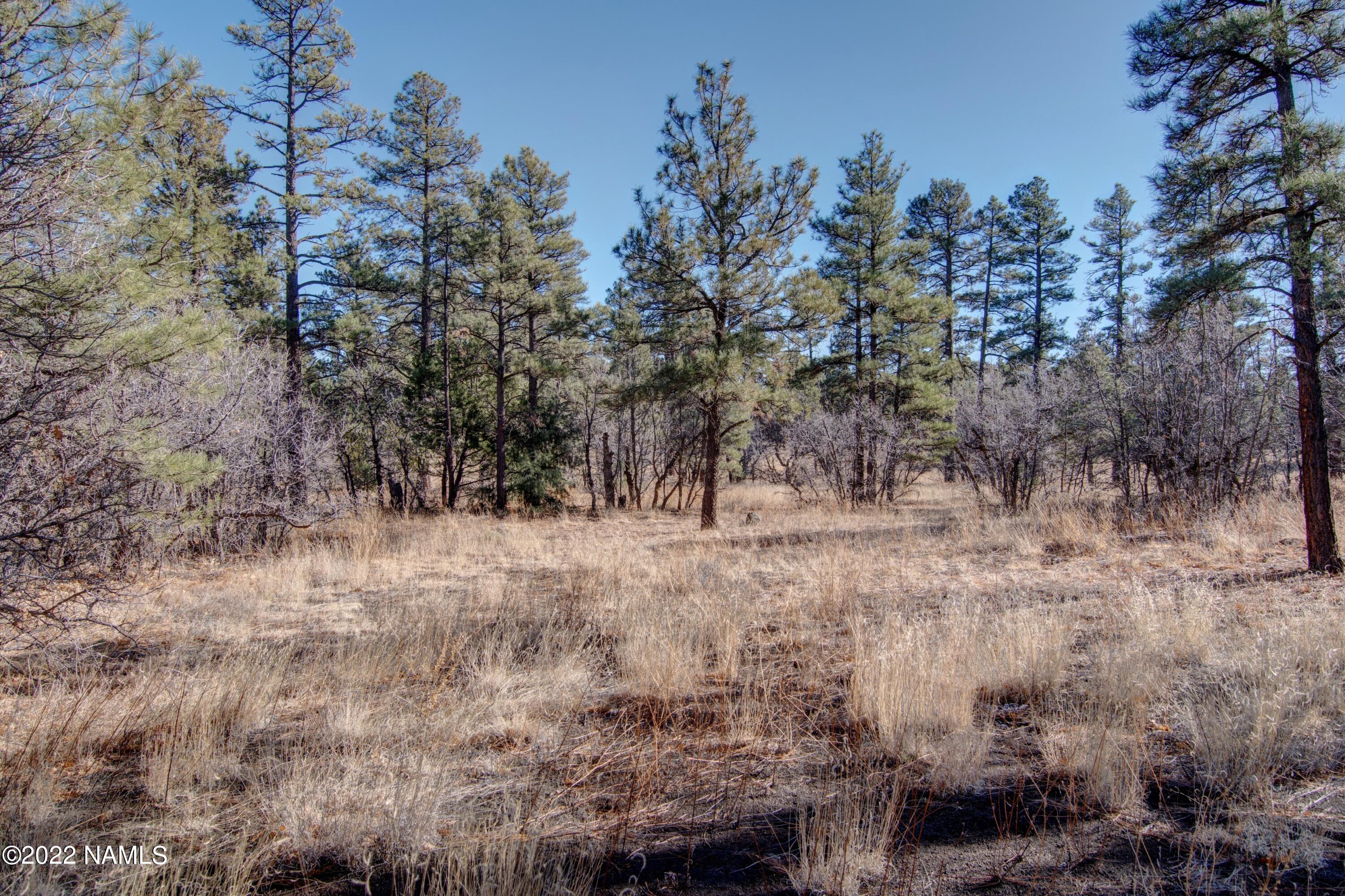5400 Lindsey Road Flagstaff, AZ 86004 - Photo 29 of 34 Open Space towards Picture Canyon