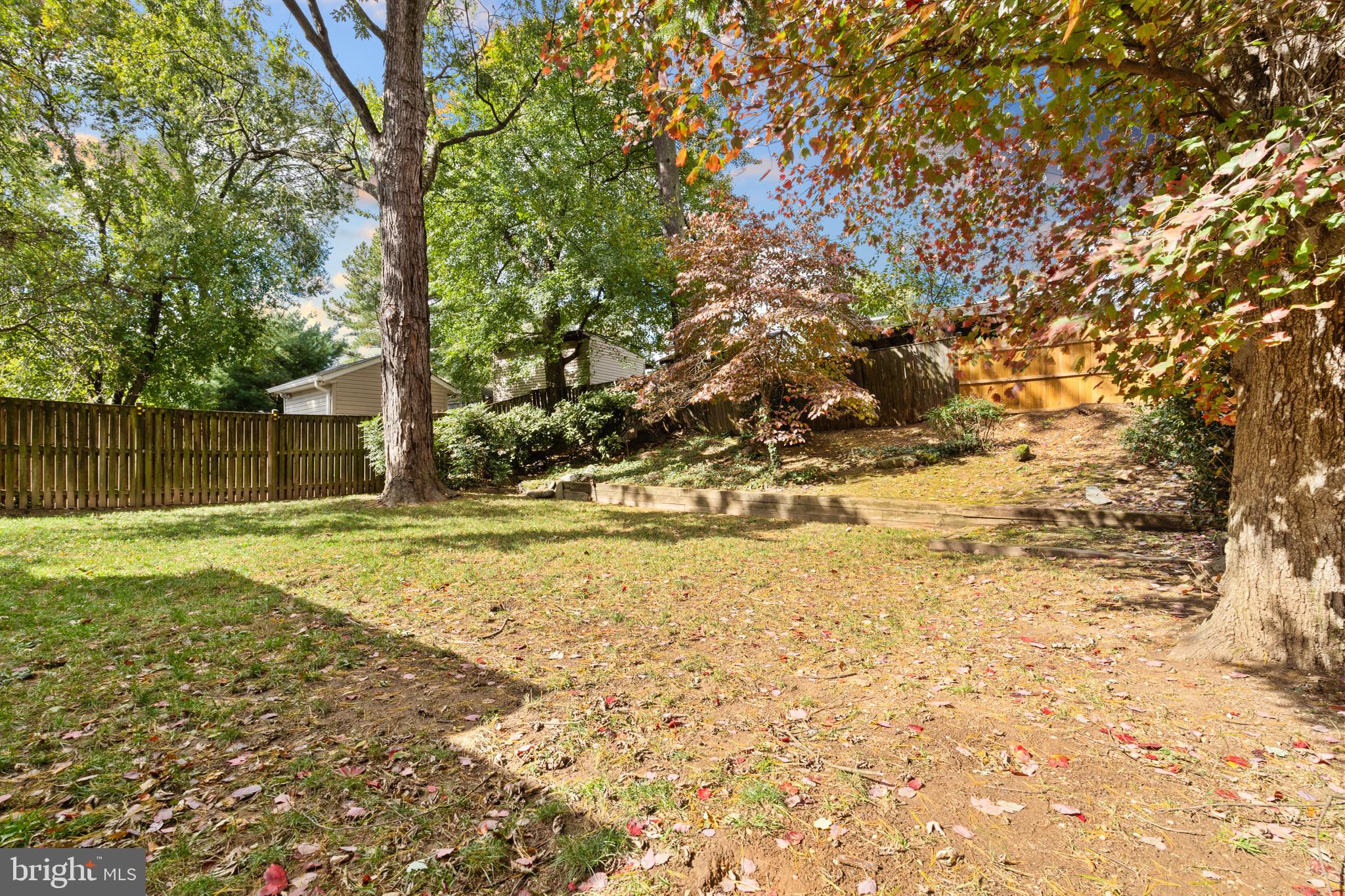 12312 Valleywood Drive Silver Spring, MD 20902 - Photo 49 of 65 a backyard of a house with large trees