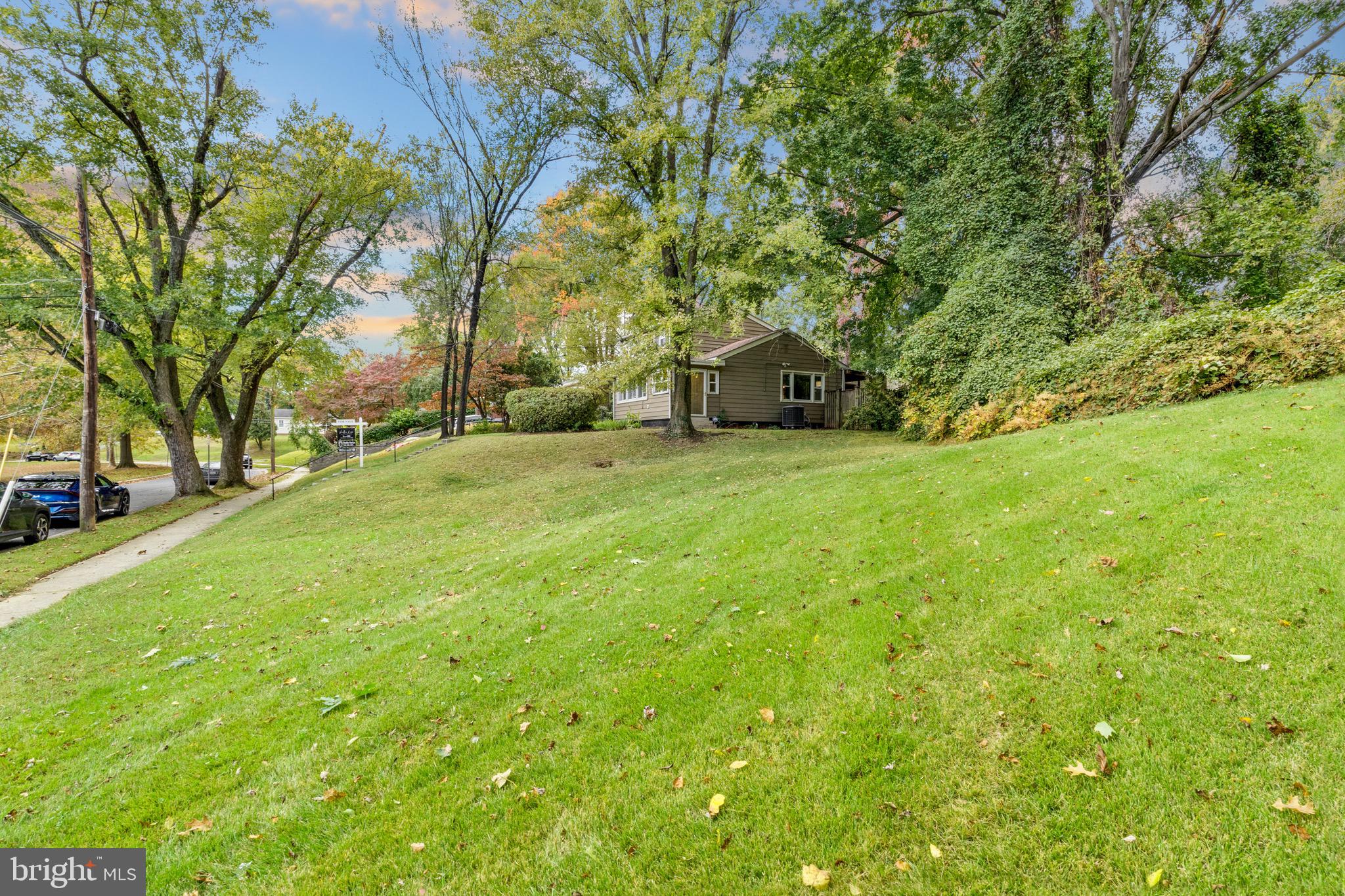 12312 Valleywood Drive Silver Spring, MD 20902 - Photo 57 of 65 a view of a trees with a big yard
