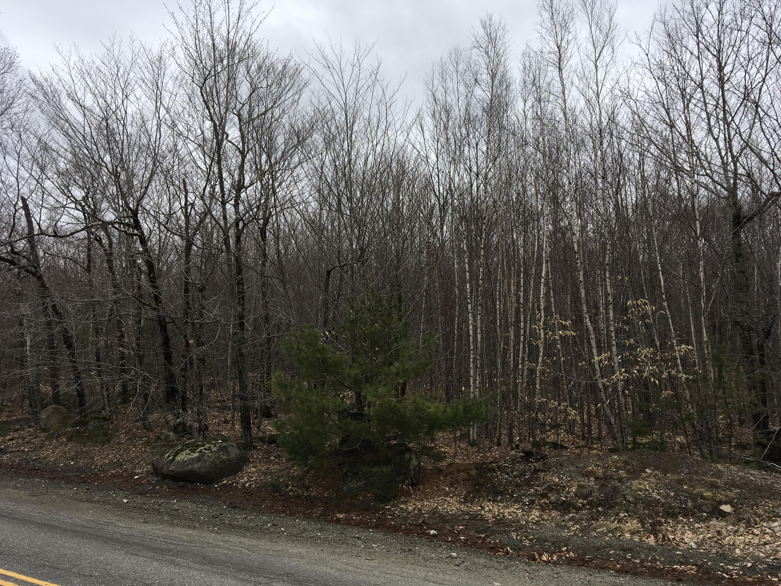 5 Map Road Lowell, ME 04493 - Photo 3 of 13 Photo Apr 22, 1 55 07 PM