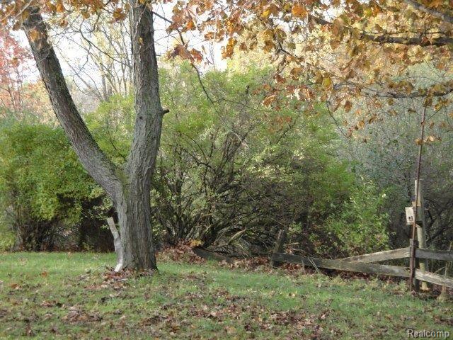 1850 West Predmore Road Oakland, MI 48363 - Photo 11 of 11 Predmore Yard View