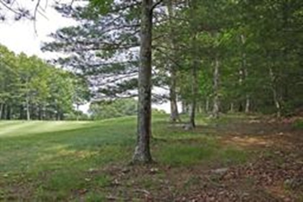 12 Jenks Lane Amherst, MA 01002 - Photo 2 of 3 Gallery Image 2