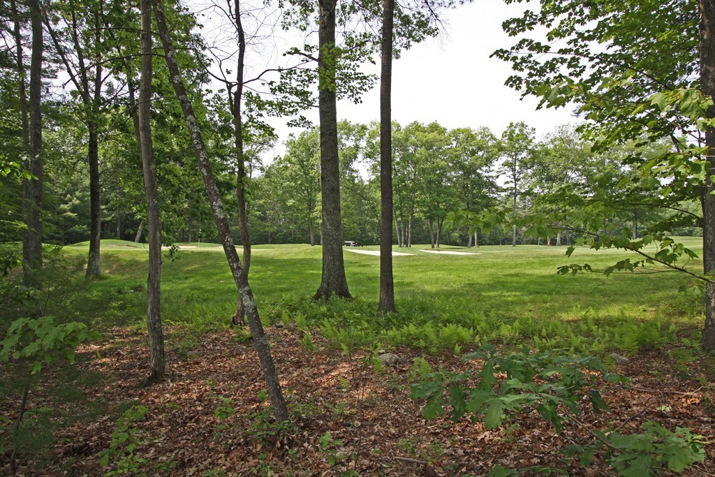 12 Jenks Lane Amherst, MA 01002 - Photo 3 of 3 Gallery Image 3