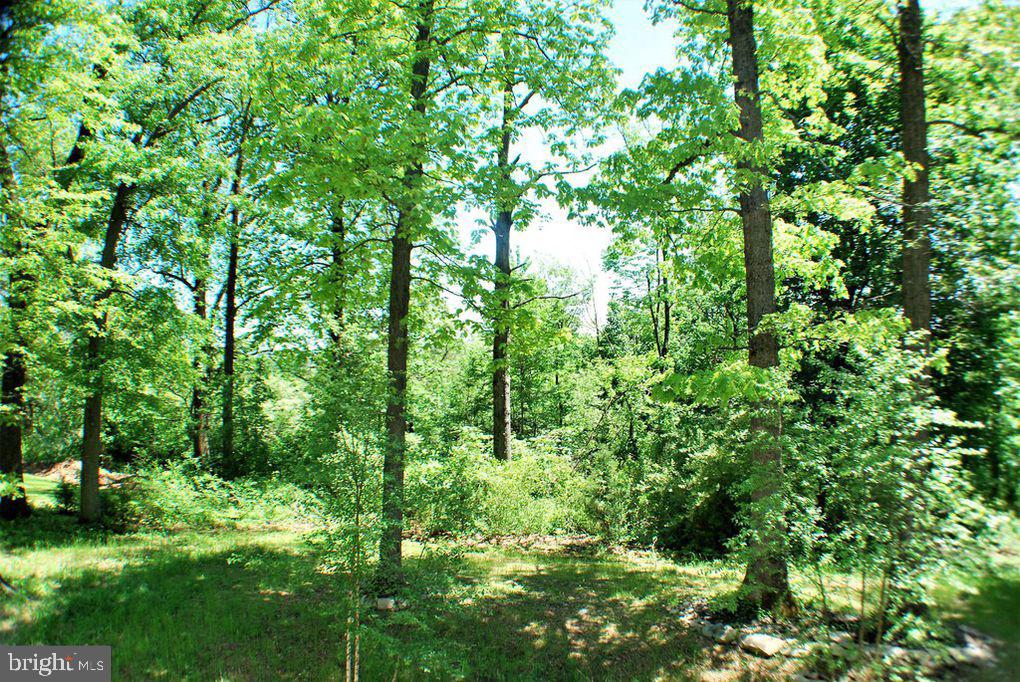 1025 North Ridge Road Perkasie, PA 18944 - Photo 3 of 21 View from Back