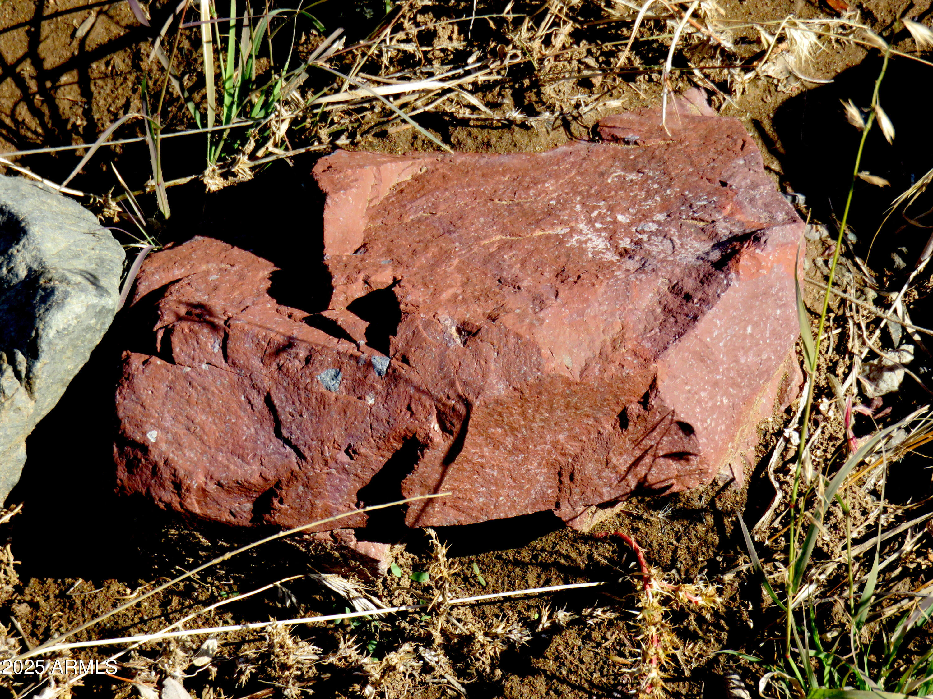 Tbd East Walnut Springs Road, Unit 47 Douglas, AZ 85607 - Photo 11 of 27 a view of a backyard