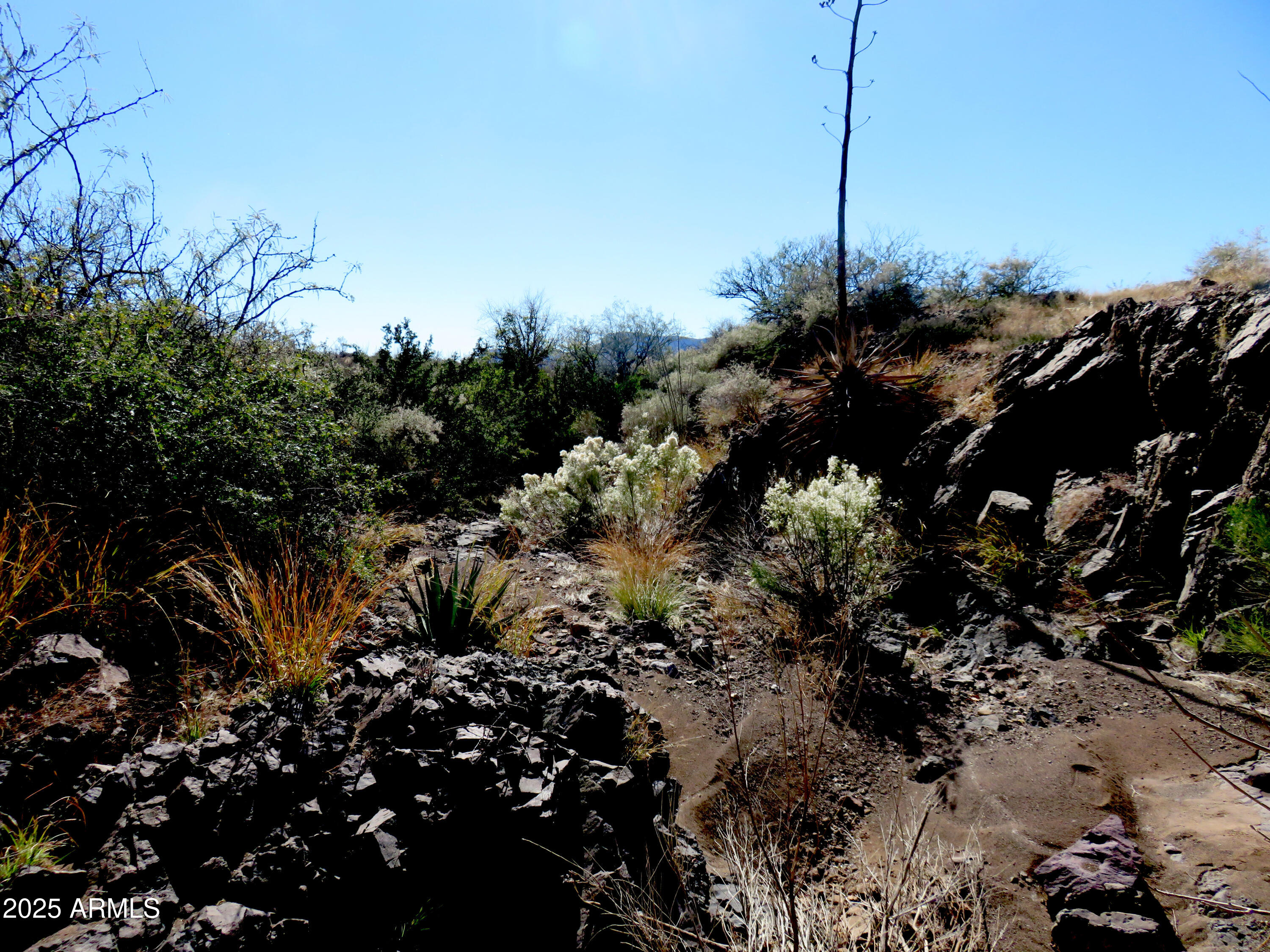 Tbd East Walnut Springs Road, Unit 47 Douglas, AZ 85607 - Photo 16 of 27 a view of a tree