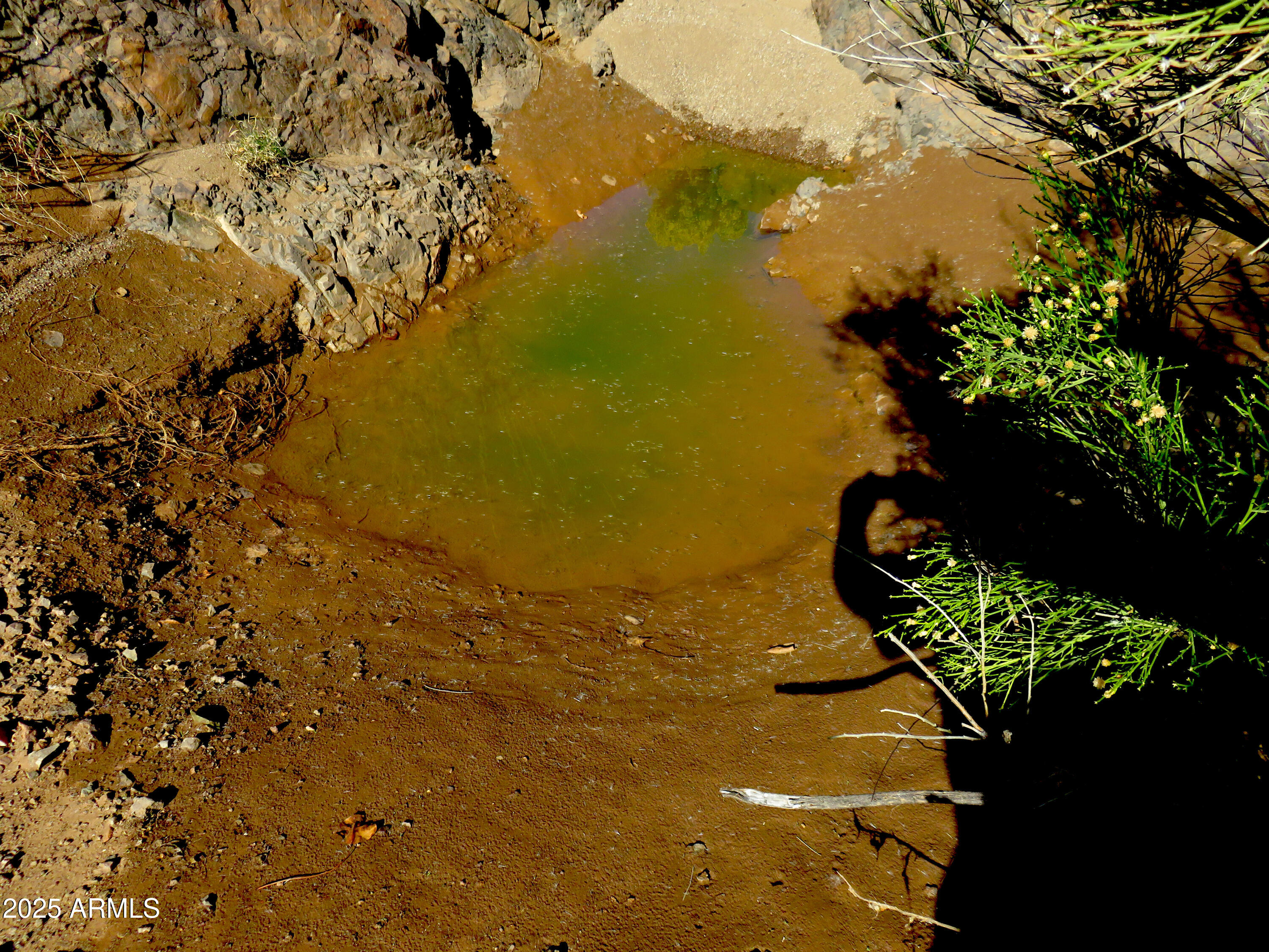 Tbd East Walnut Springs Road, Unit 47 Douglas, AZ 85607 - Photo 17 of 27