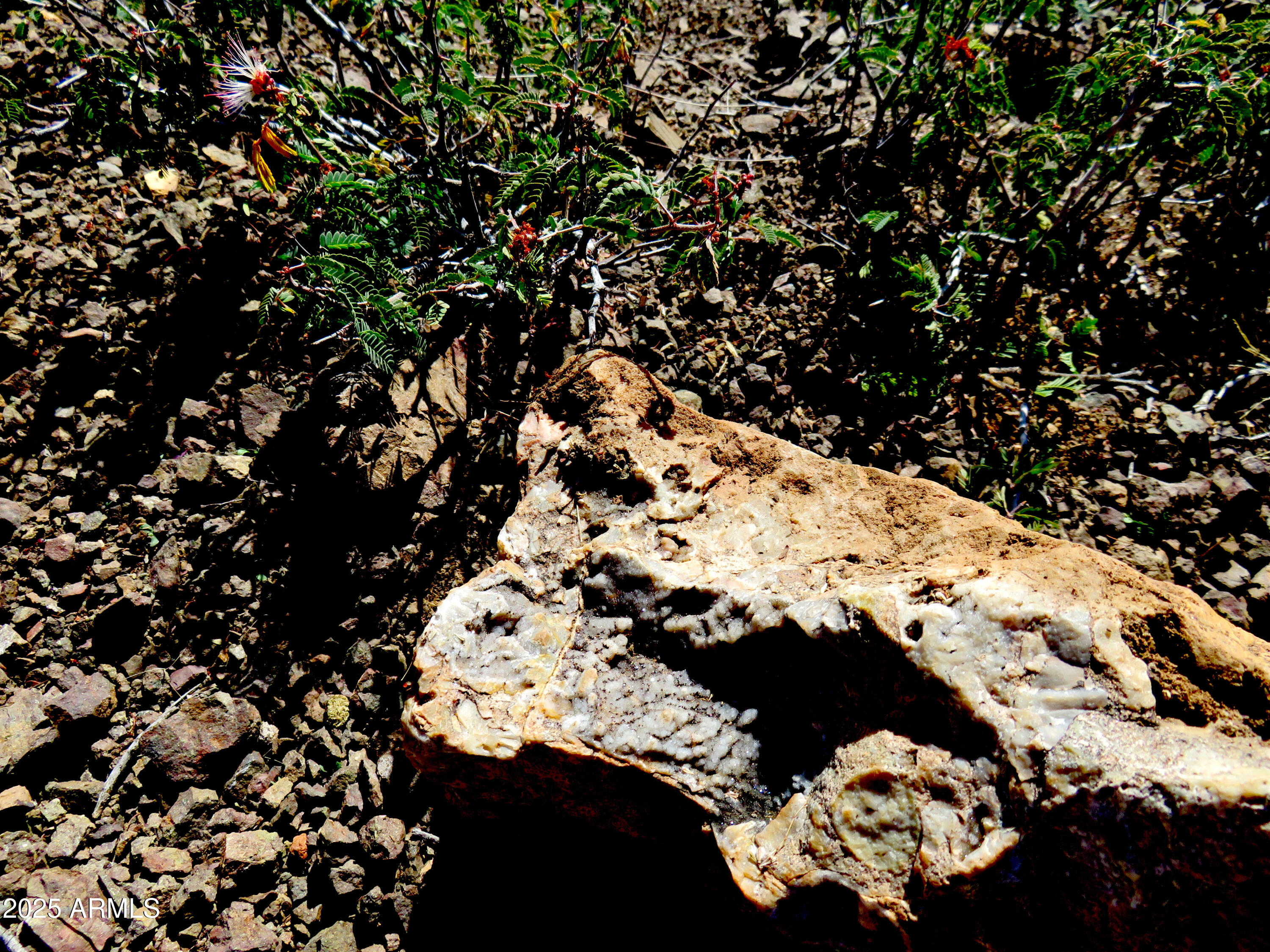 Tbd East Walnut Springs Road, Unit 47 Douglas, AZ 85607 - Photo 19 of 27 a view of a tree