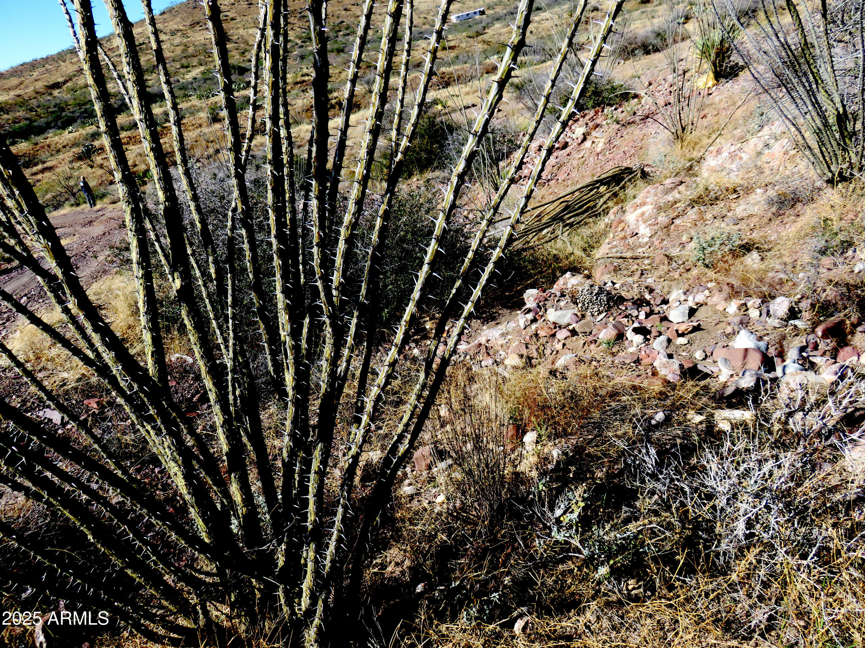 Tbd East Walnut Springs Road, Unit 47 Douglas, AZ 85607 - Photo 20 of 27 a view of a yard