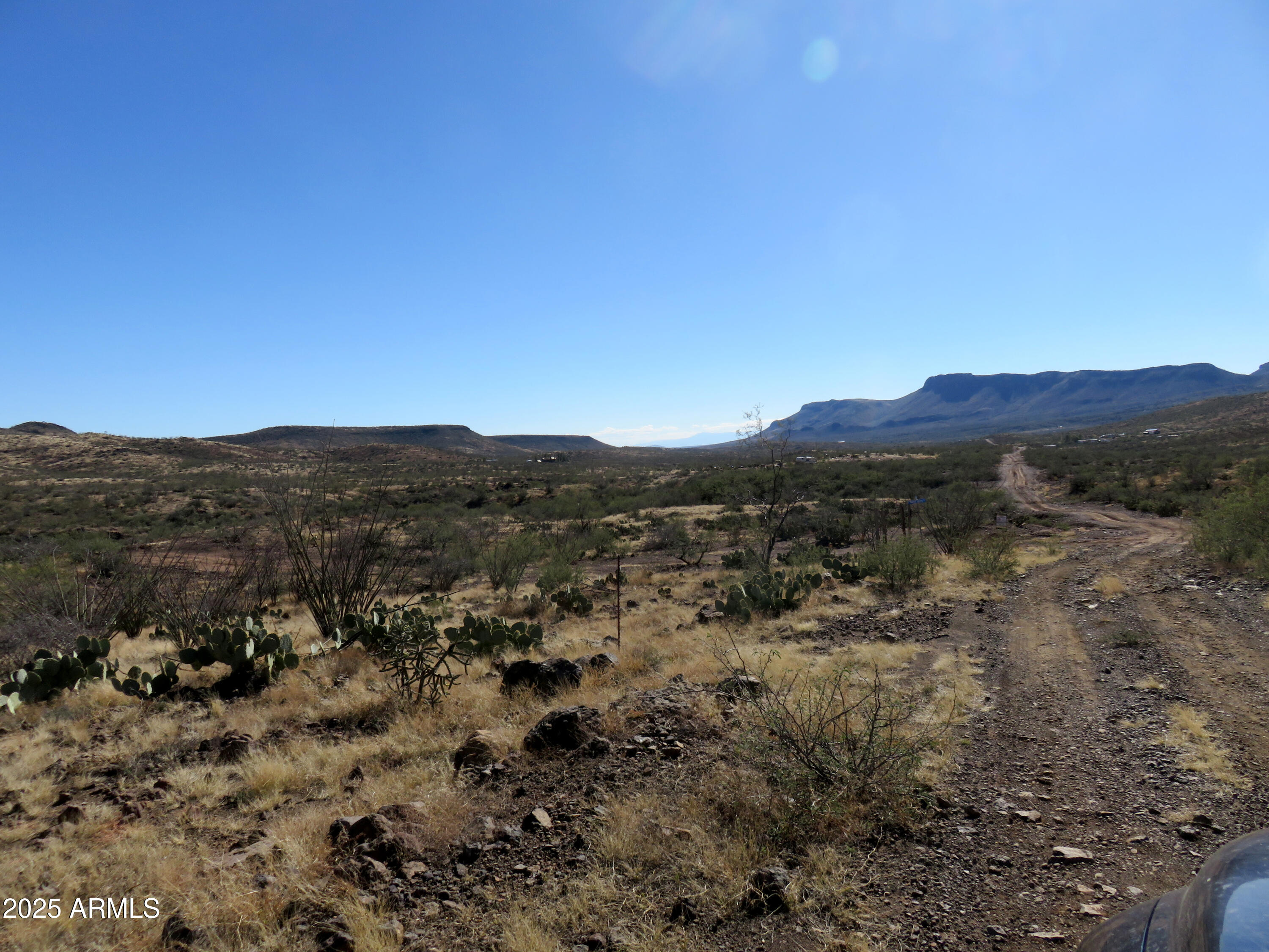 Tbd East Walnut Springs Road, Unit 47 Douglas, AZ 85607 - Photo 2 of 27 a view of a mountain range with trees in the background