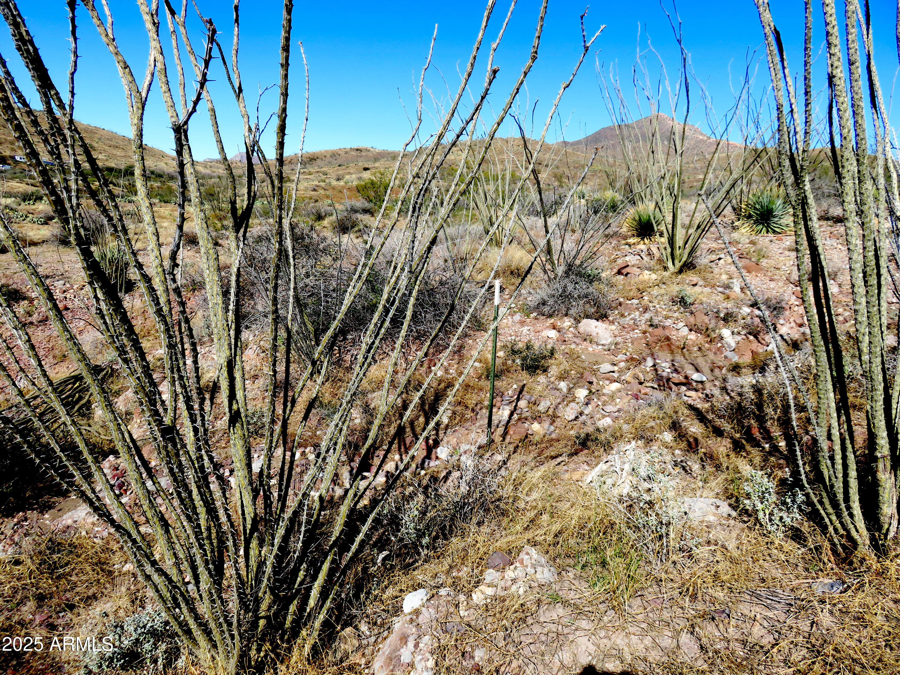 Tbd East Walnut Springs Road, Unit 47 Douglas, AZ 85607 - Photo 21 of 27 a view of a backyard of the house
