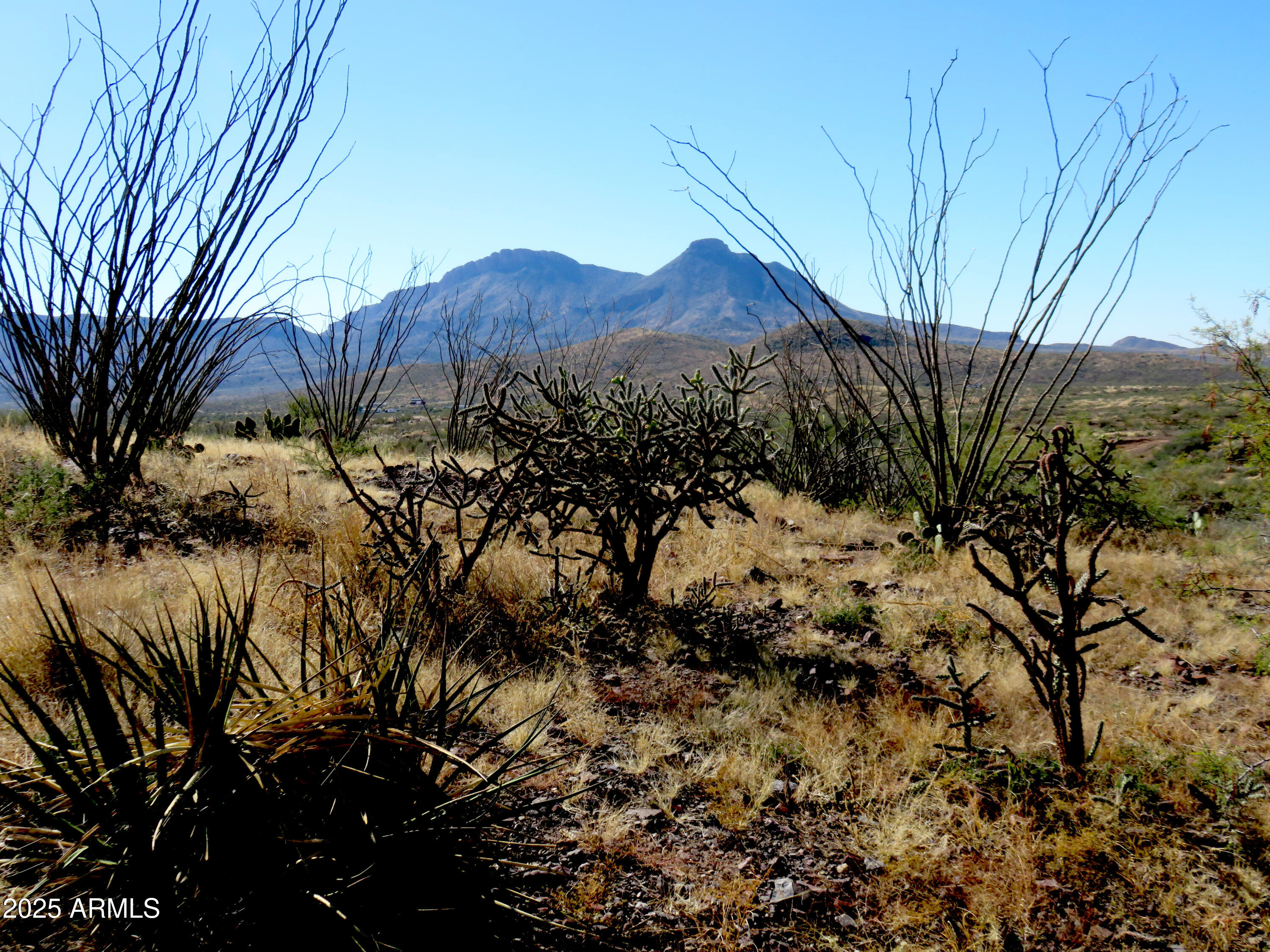 Tbd East Walnut Springs Road, Unit 47 Douglas, AZ 85607 - Photo 22 of 27 a view of a dry yard with large trees