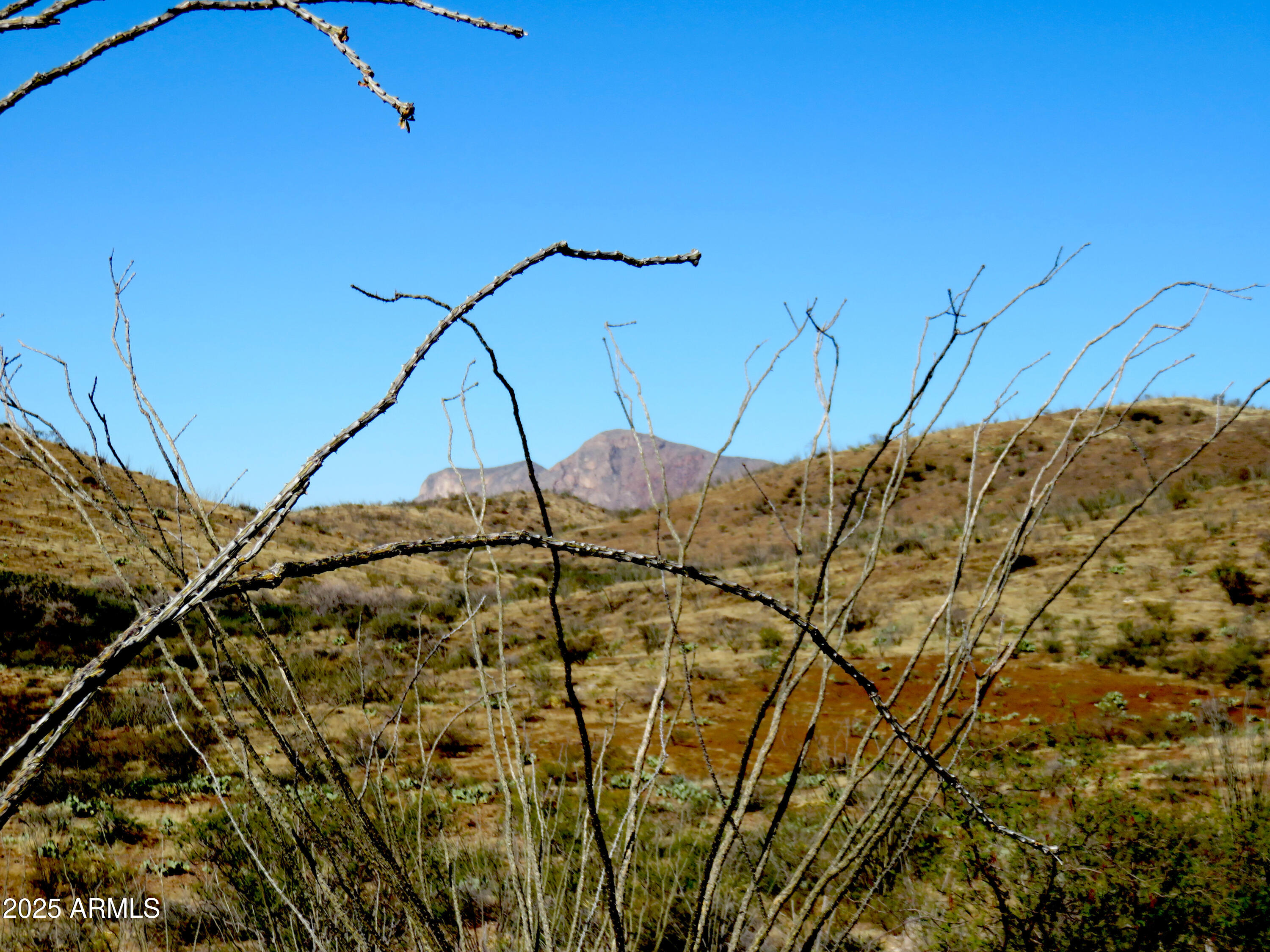 Tbd East Walnut Springs Road, Unit 47 Douglas, AZ 85607 - Photo 24 of 27 a view of a dry yard