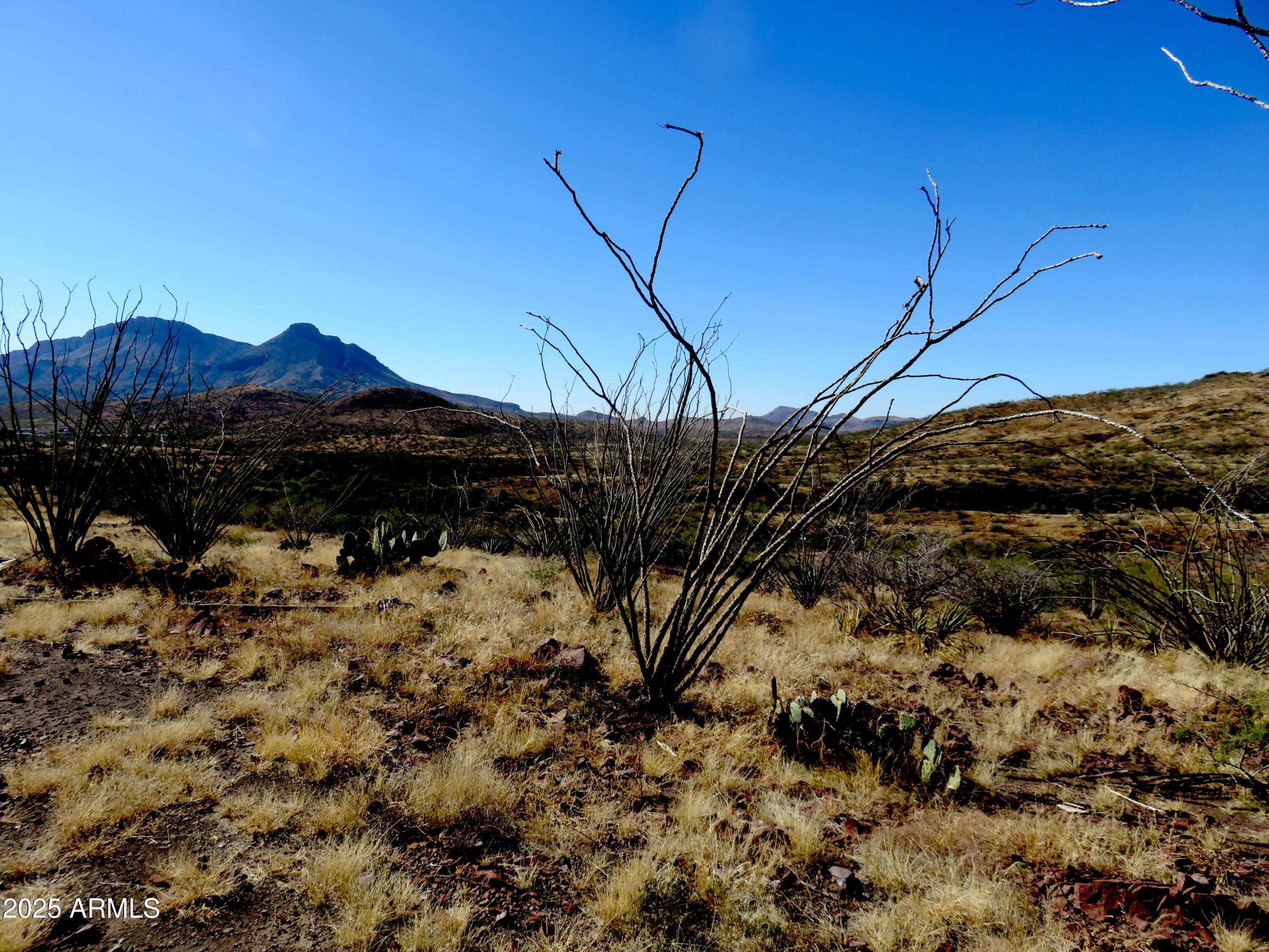 Tbd East Walnut Springs Road, Unit 47 Douglas, AZ 85607 - Photo 25 of 27 a view of a covered with snow in the background