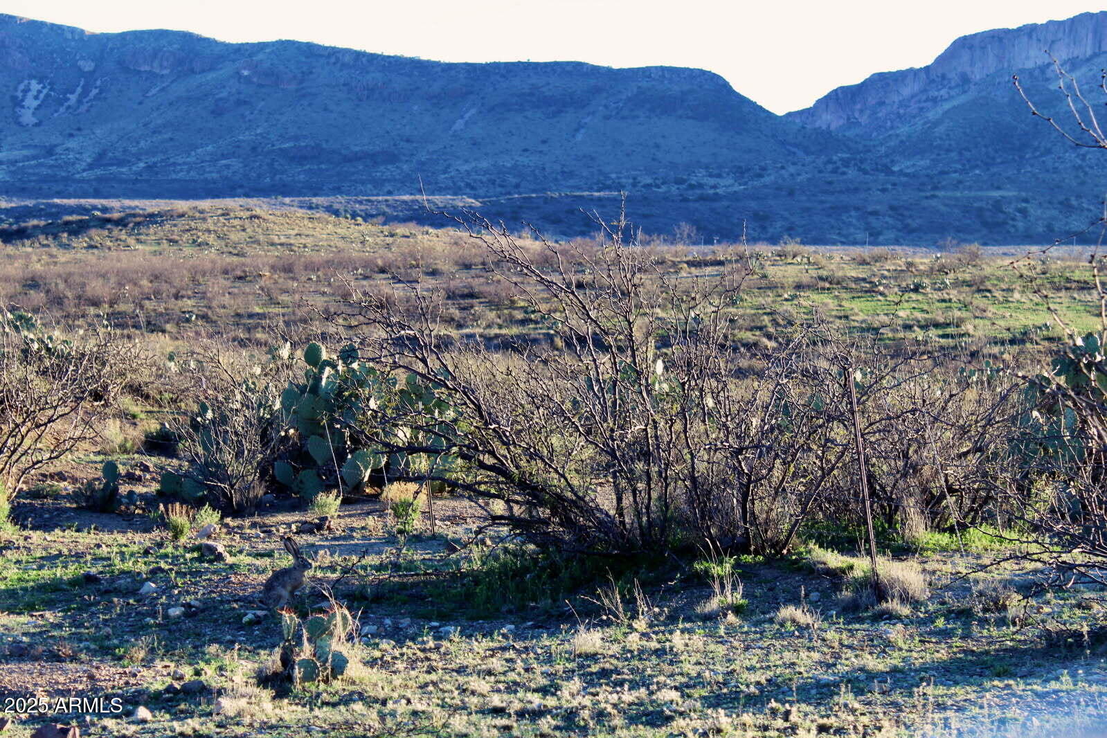 Tbd East Walnut Springs Road, Unit 47 Douglas, AZ 85607 - Photo 26 of 27 a view of house with a mountain