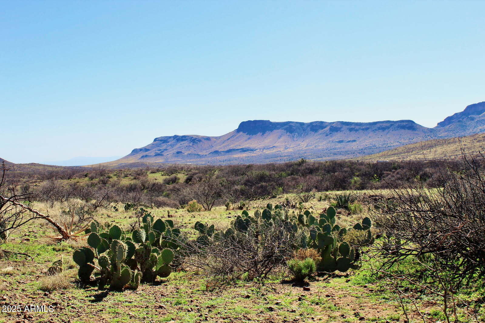 Tbd East Walnut Springs Road, Unit 47 Douglas, AZ 85607 - Photo 27 of 27 a view of a city with mountains in the background