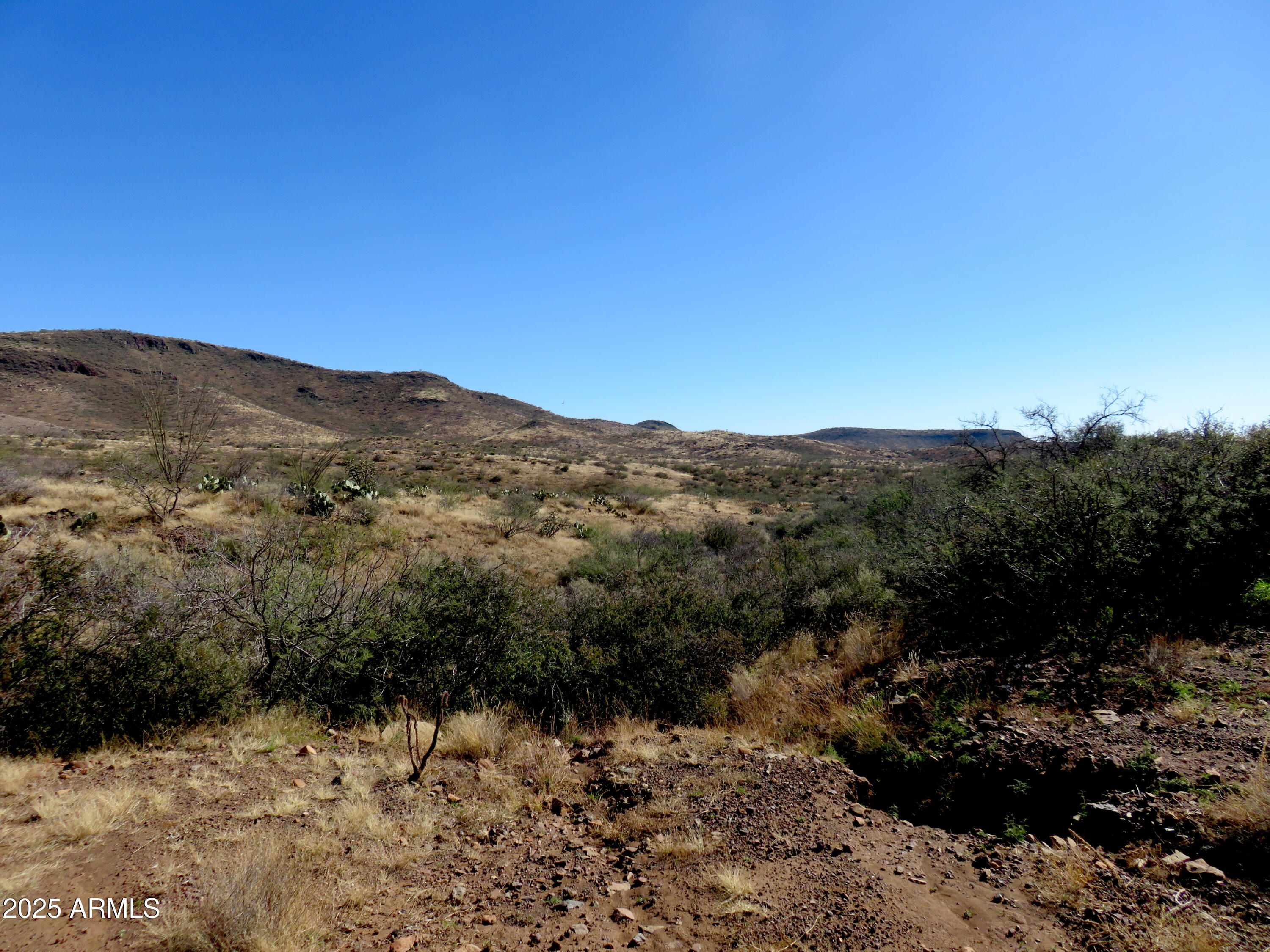 Tbd East Walnut Springs Road, Unit 47 Douglas, AZ 85607 - Photo 4 of 27 a view of a mountain range with trees in the background