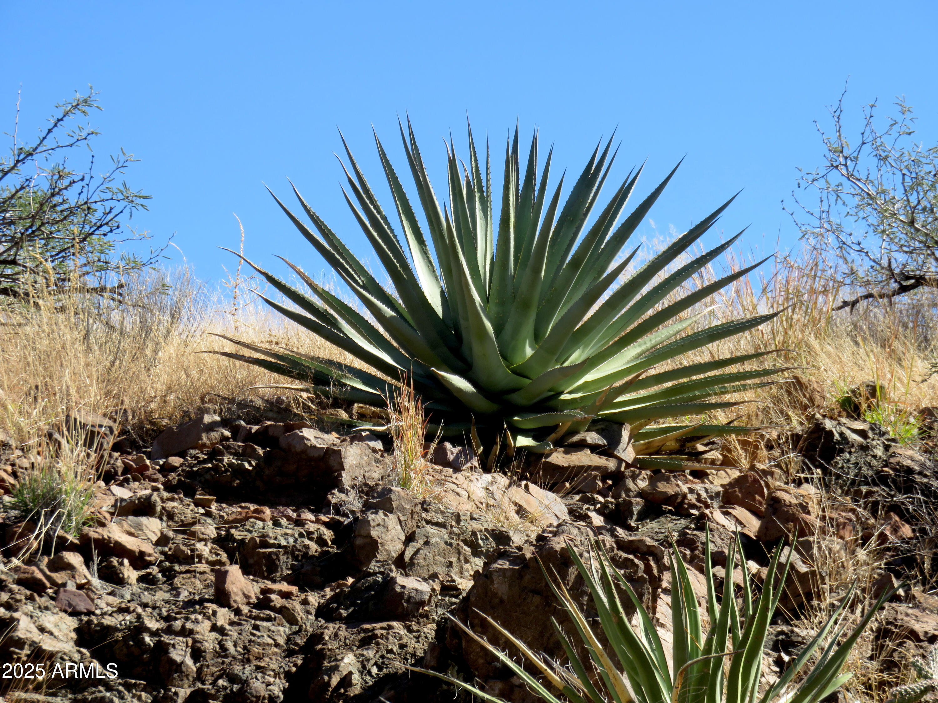 Tbd East Walnut Springs Road, Unit 47 Douglas, AZ 85607 - Photo 8 of 27 a view of a backyard of the house