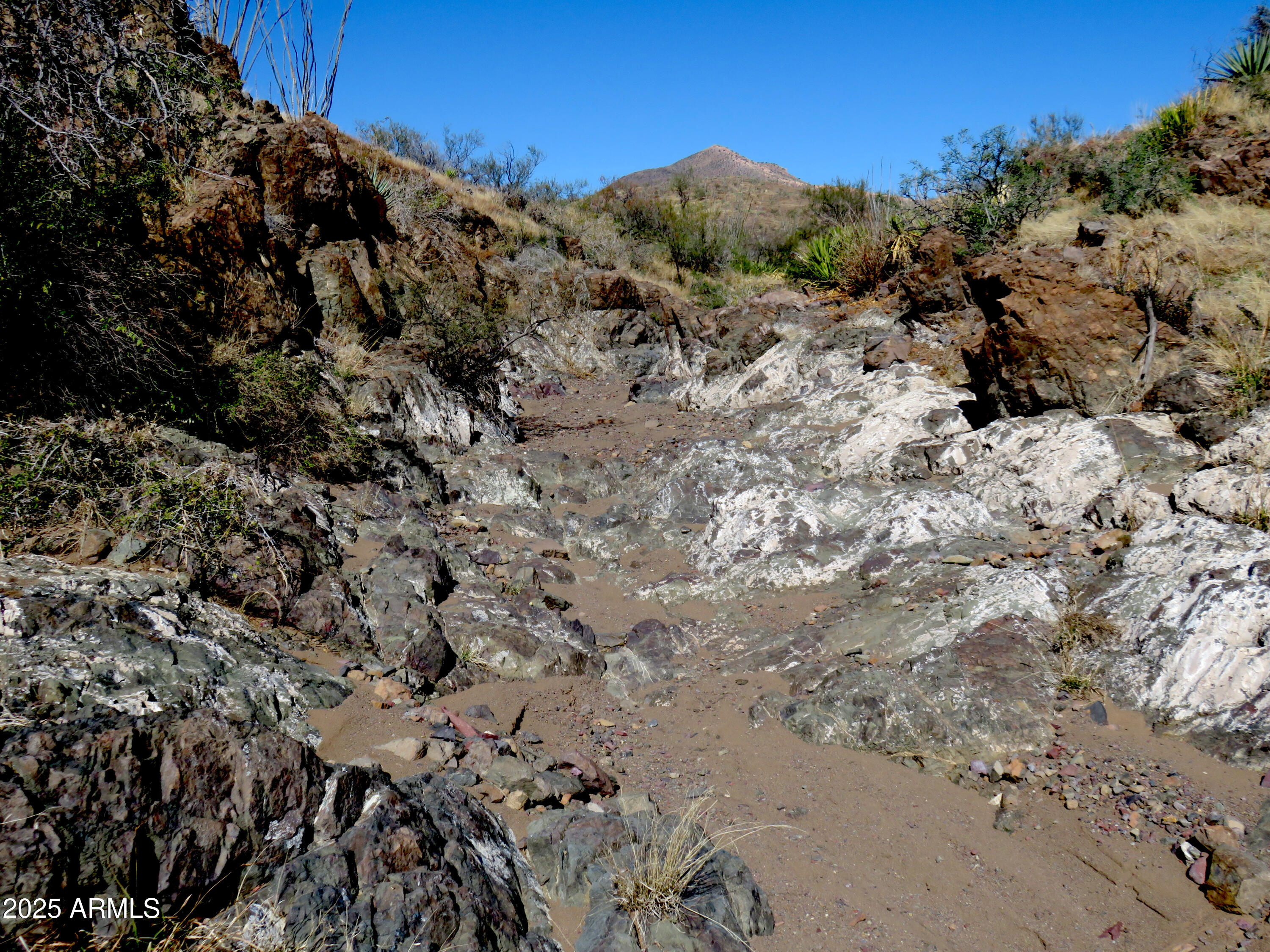 Tbd East Walnut Springs Road, Unit 47 Douglas, AZ 85607 - Photo 10 of 27 a view of a dry field with lots of trees