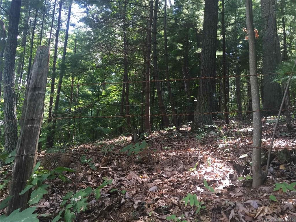 0 Mills Place Road Asheville, NC 28804 - Photo 2 of 11