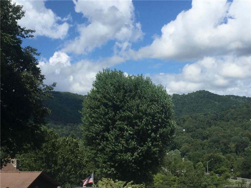 0 Mills Place Road Asheville, NC 28804 - Photo 11 of 11