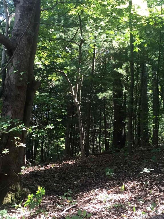 0 Mills Place Road Asheville, NC 28804 - Photo 3 of 11