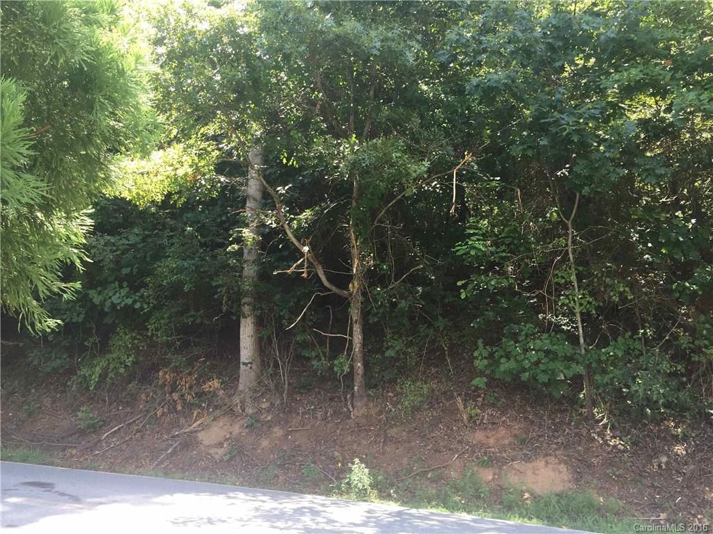 0 Mills Place Road Asheville, NC 28804 - Photo 5 of 11