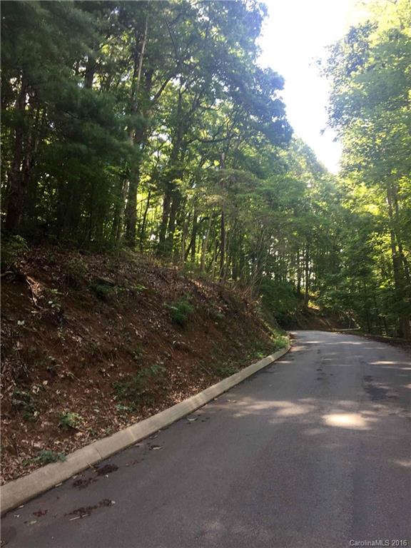 0 Mills Place Road Asheville, NC 28804 - Photo 6 of 11