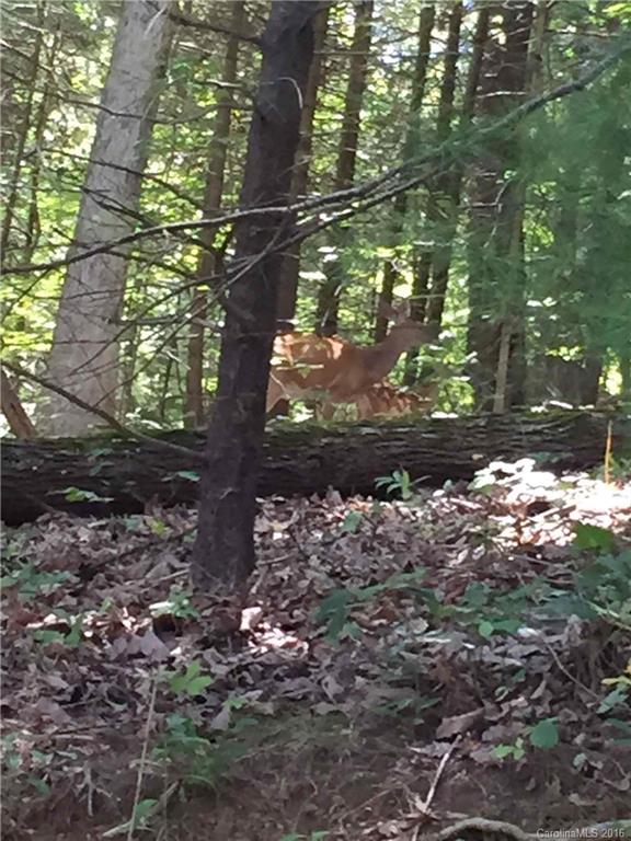 0 Mills Place Road Asheville, NC 28804 - Photo 8 of 11