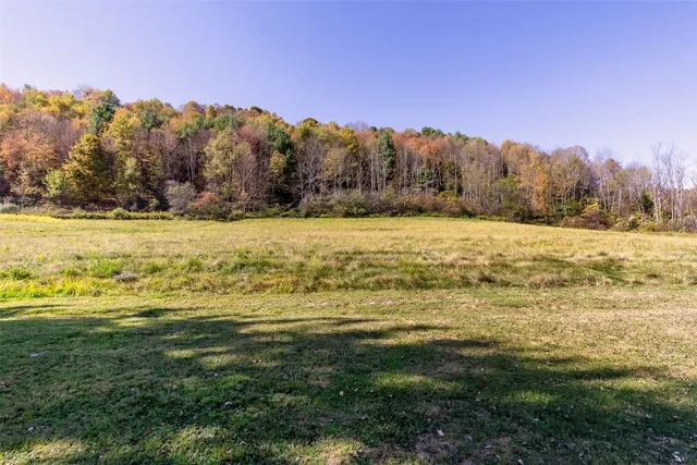 $115,000 | 88 Hall Road, Apalachin, NY 13732