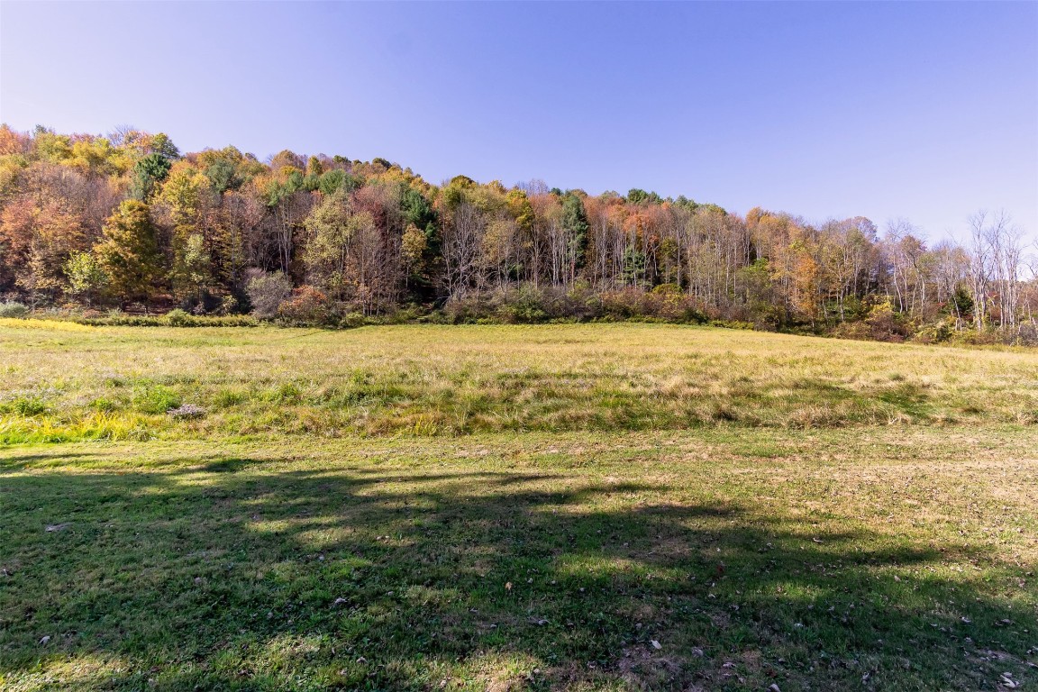 88 Hall Road Apalachin, NY 13732 - Photo 31 of 39