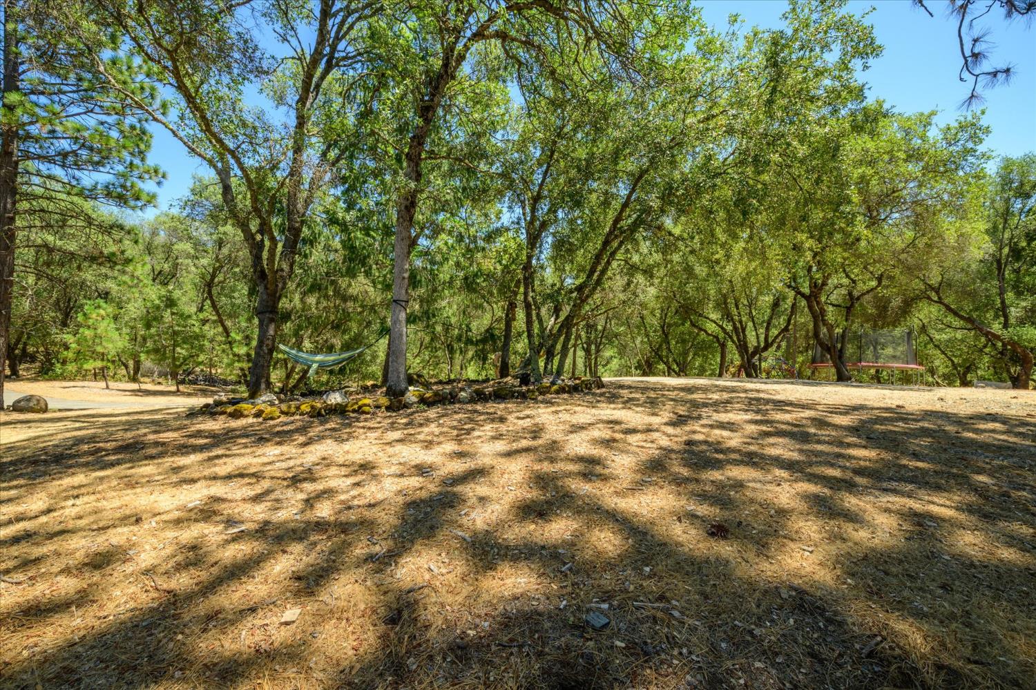 1410 Sand Ridge Road El Dorado, CA 95623 - Photo 36 of 51