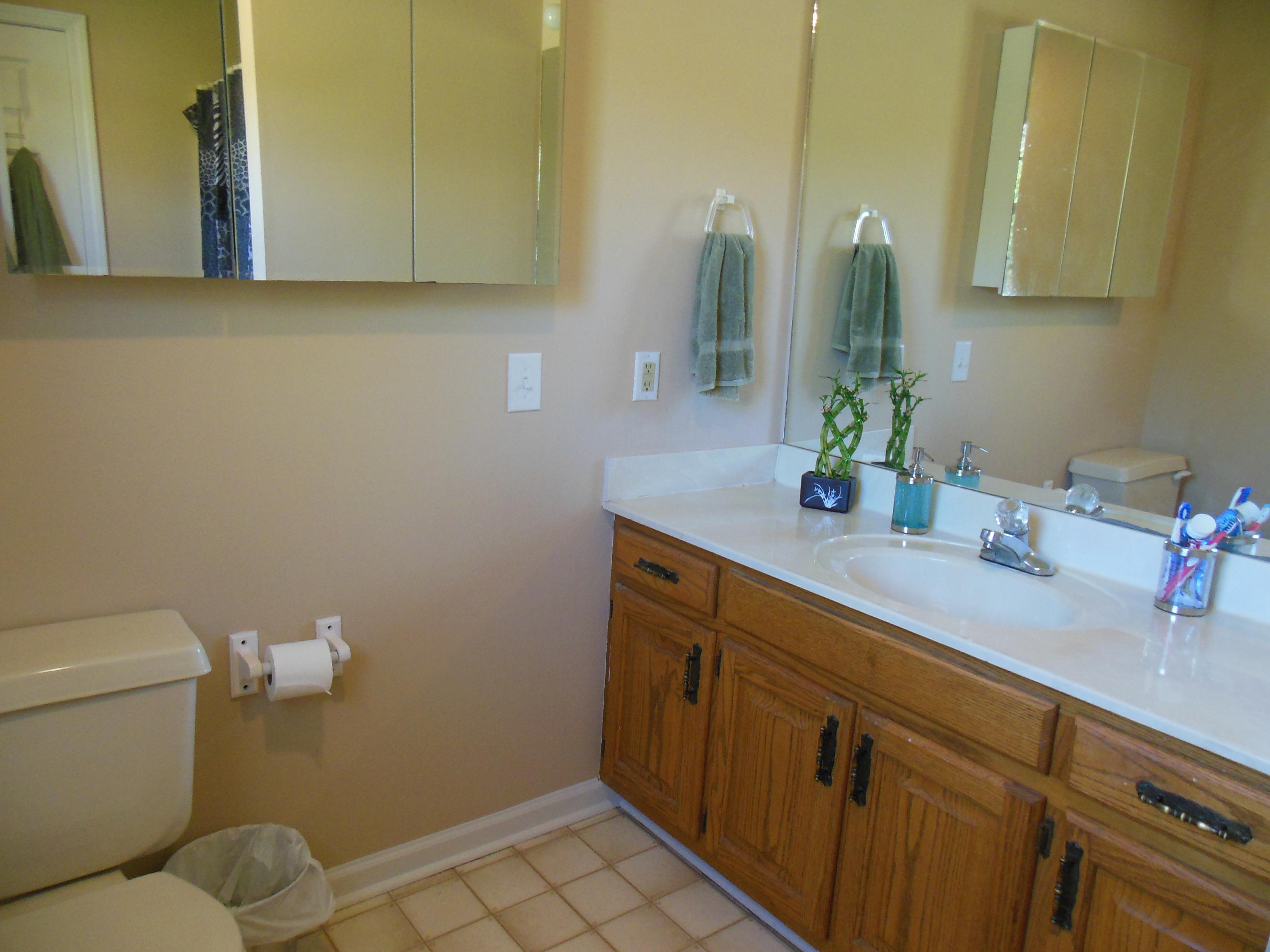 406 Winding Ridge Trail Seymour, TN 37865 - Photo 29 of 34 Mster Bath
