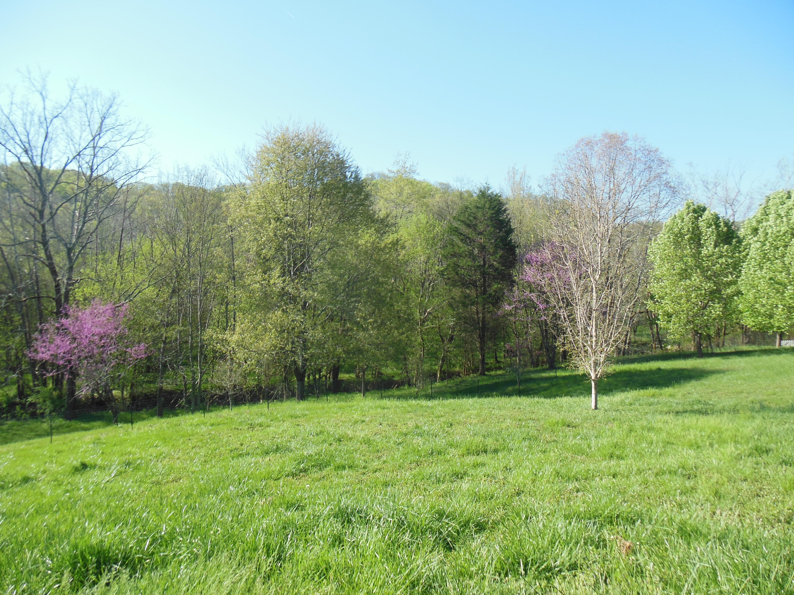 406 Winding Ridge Trail Seymour, TN 37865 - Photo 4 of 34 DSCN1749