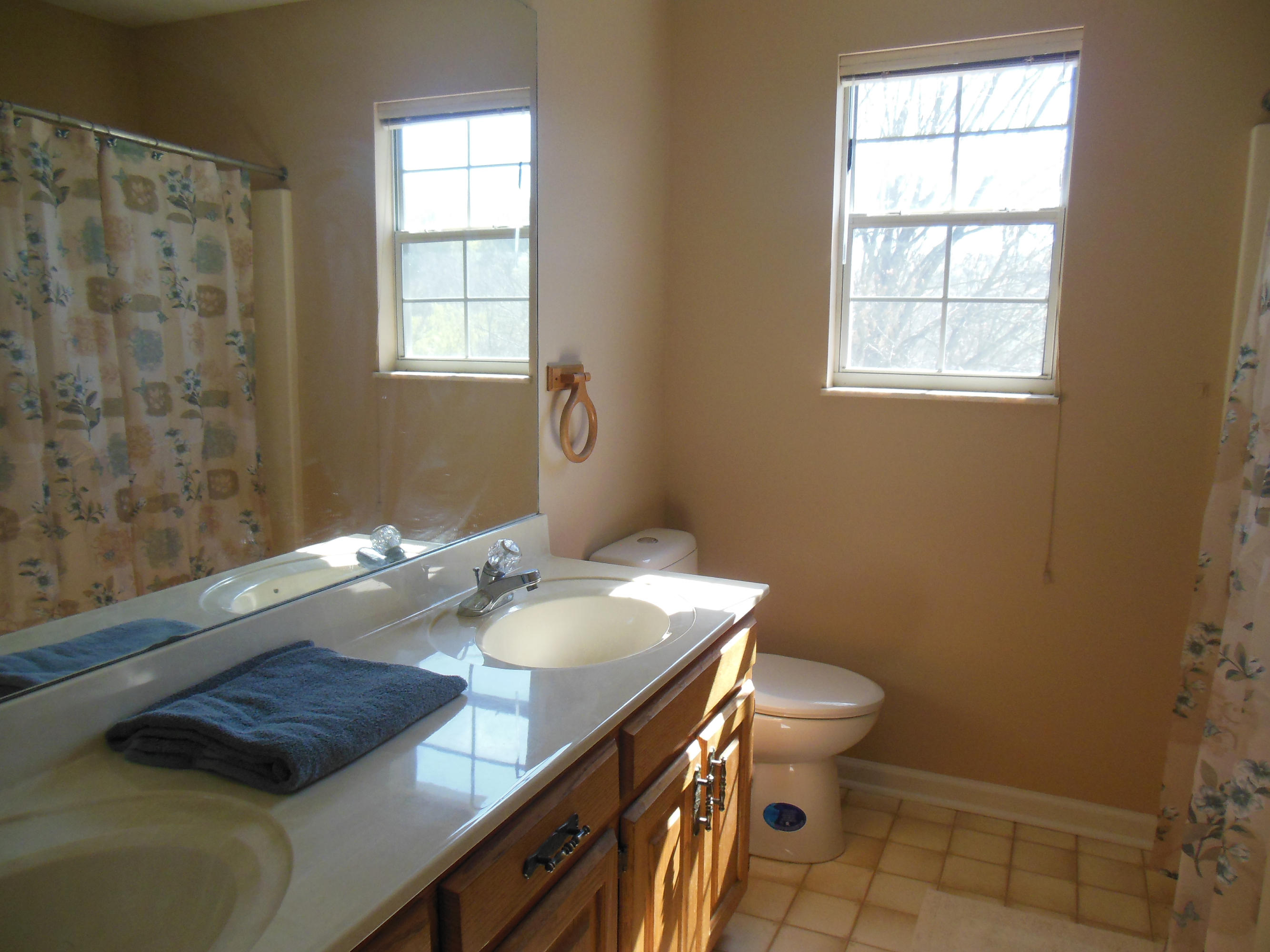 406 Winding Ridge Trail Seymour, TN 37865 - Photo 31 of 34 Second upstairs bath
