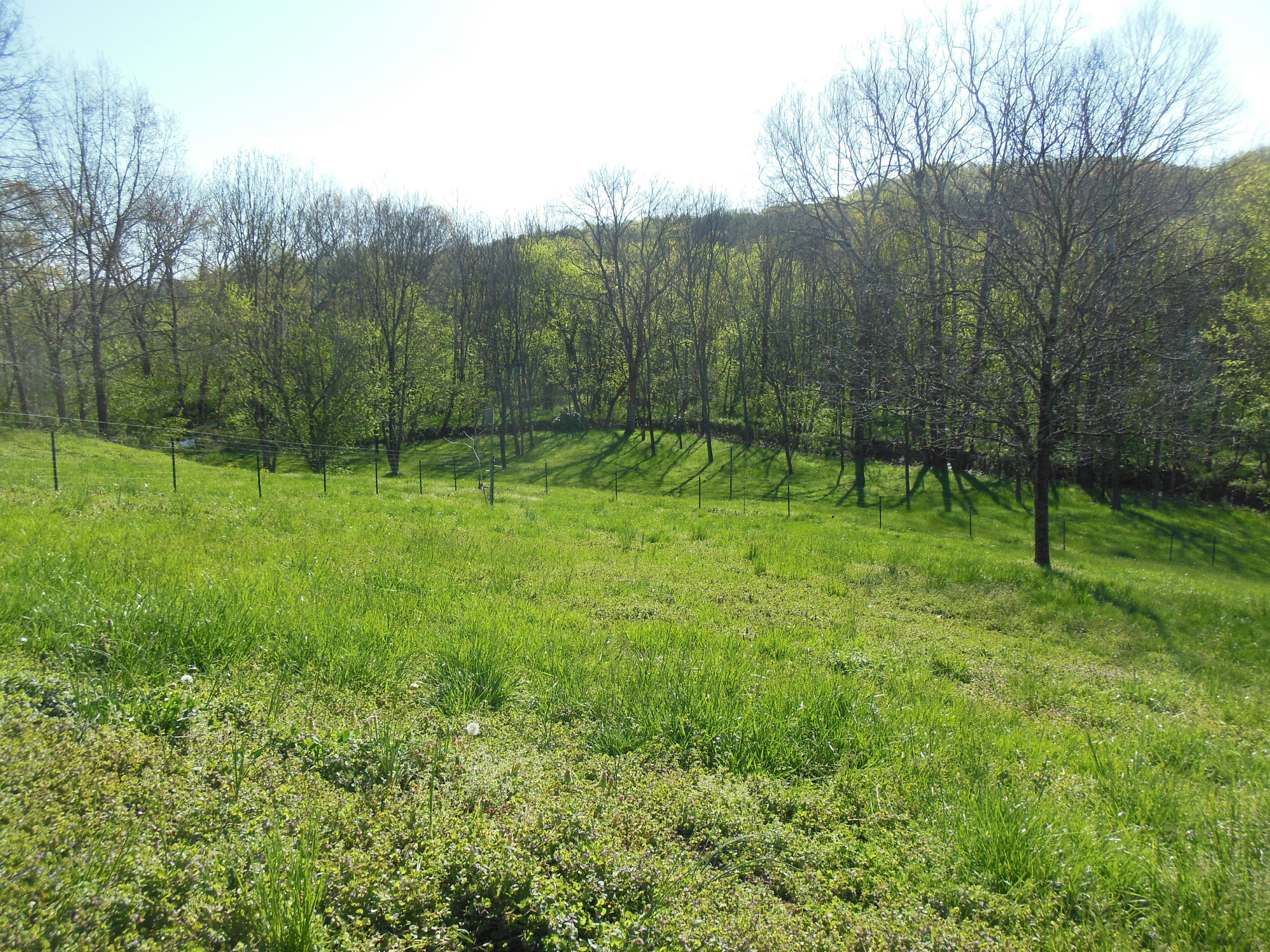 406 Winding Ridge Trail Seymour, TN 37865 - Photo 5 of 34 DSCN1751