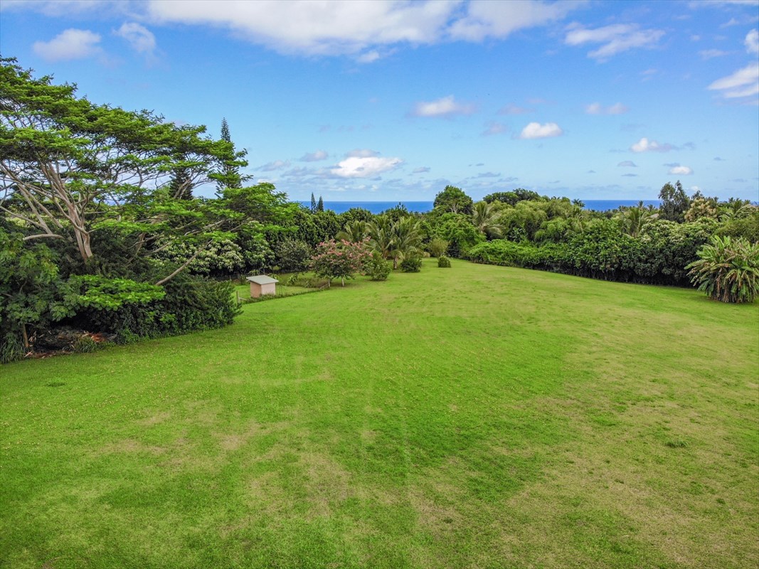 4327 Kapuna Road, Unit 2 Kilauea, HI 96754 - Photo 11 of 30 a view of a green field with lots of bushes