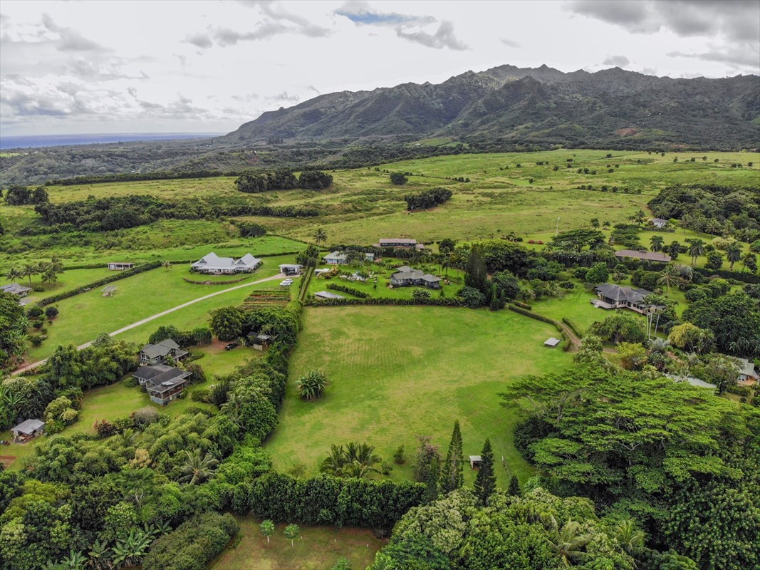 4327 Kapuna Road, Unit 2 Kilauea, HI 96754 - Photo 16 of 30 a view of a lush green hillside and houses